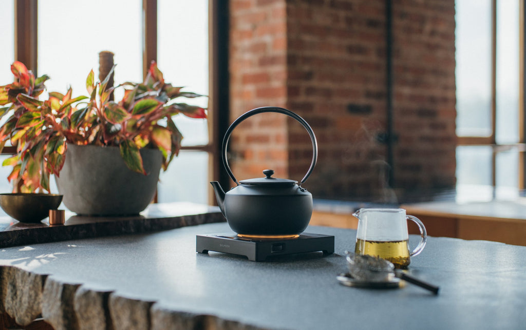 BALMUDA MoonKettle - Black