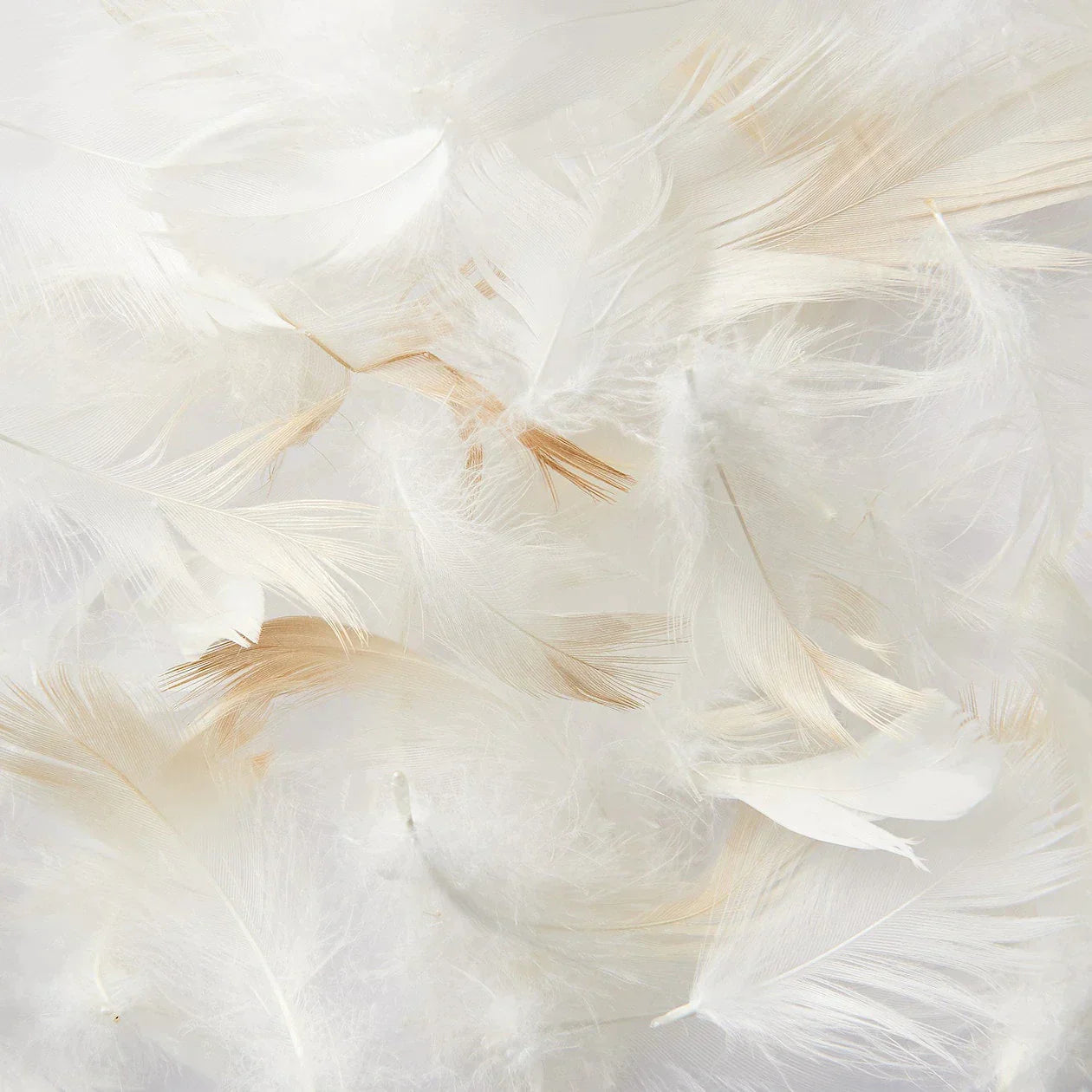 Feather Pillow