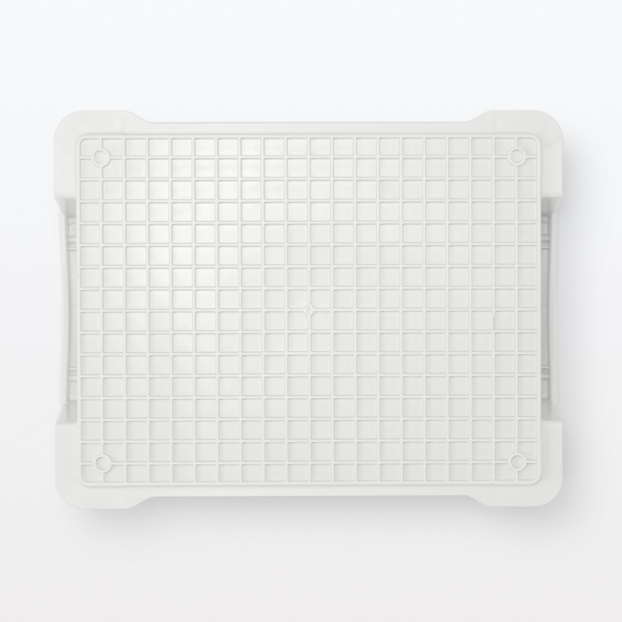 Polypropylene Container White Gray