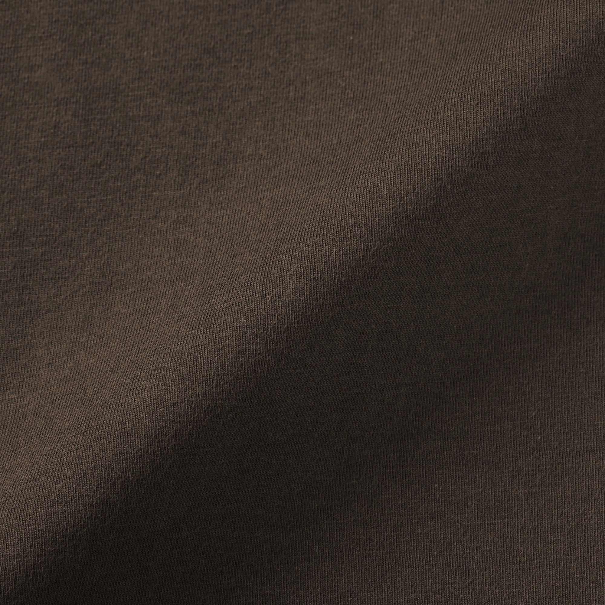 Brushed Turtleneck T-Shirt