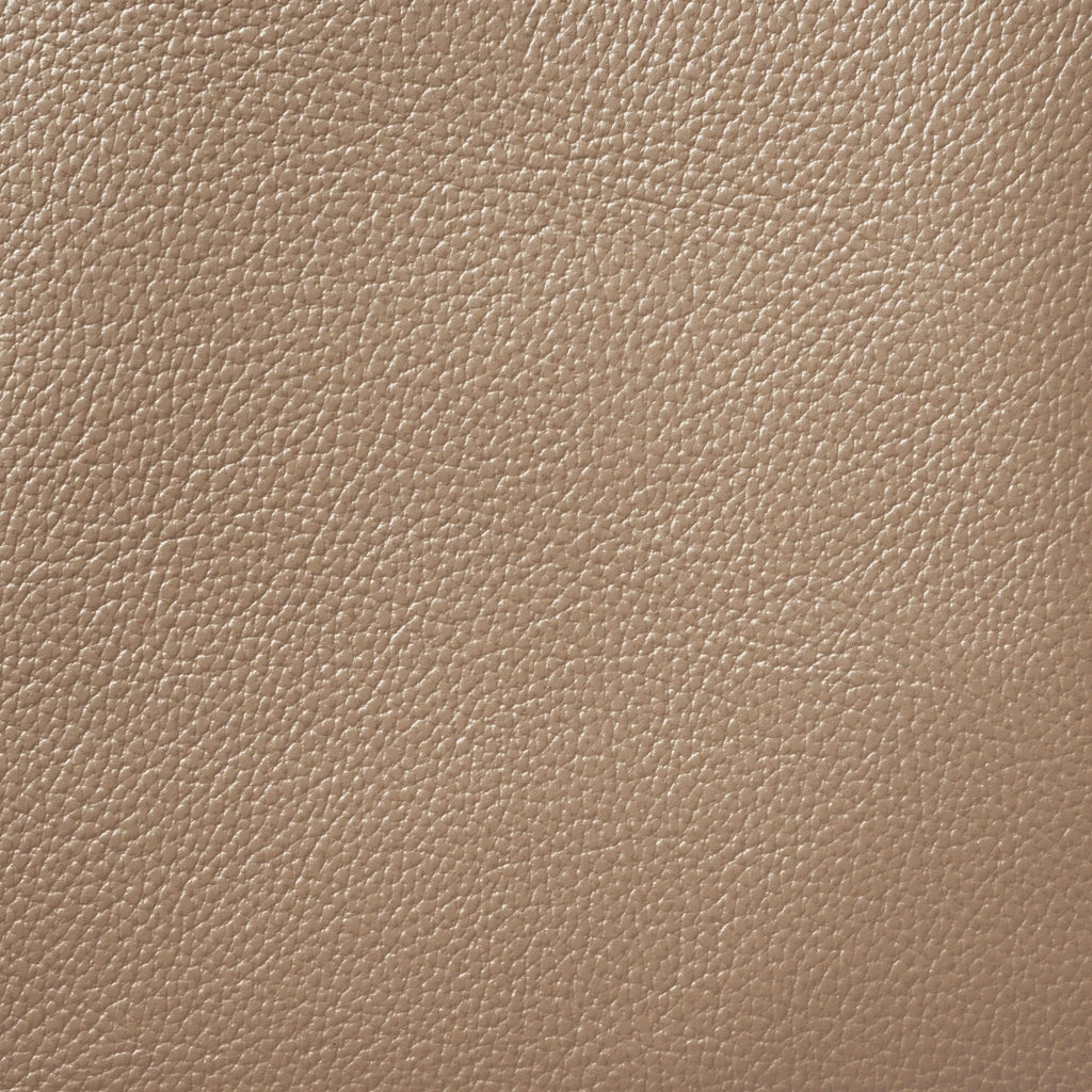 Tanned Leather Mini Tote Bag