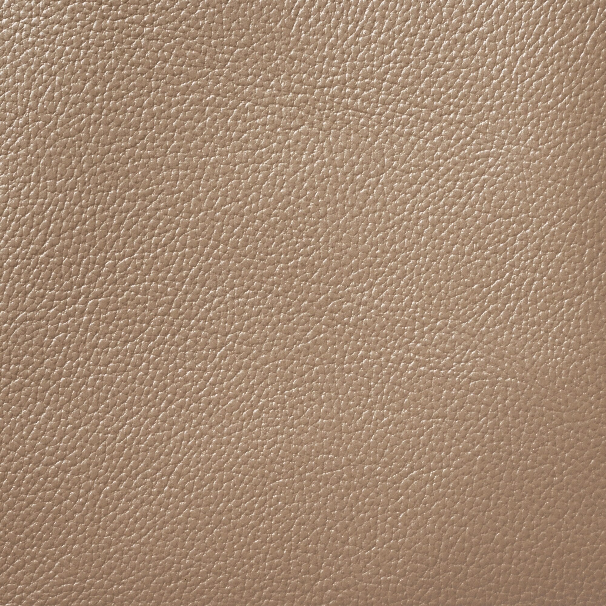 Tanned Leather Mini Tote Bag