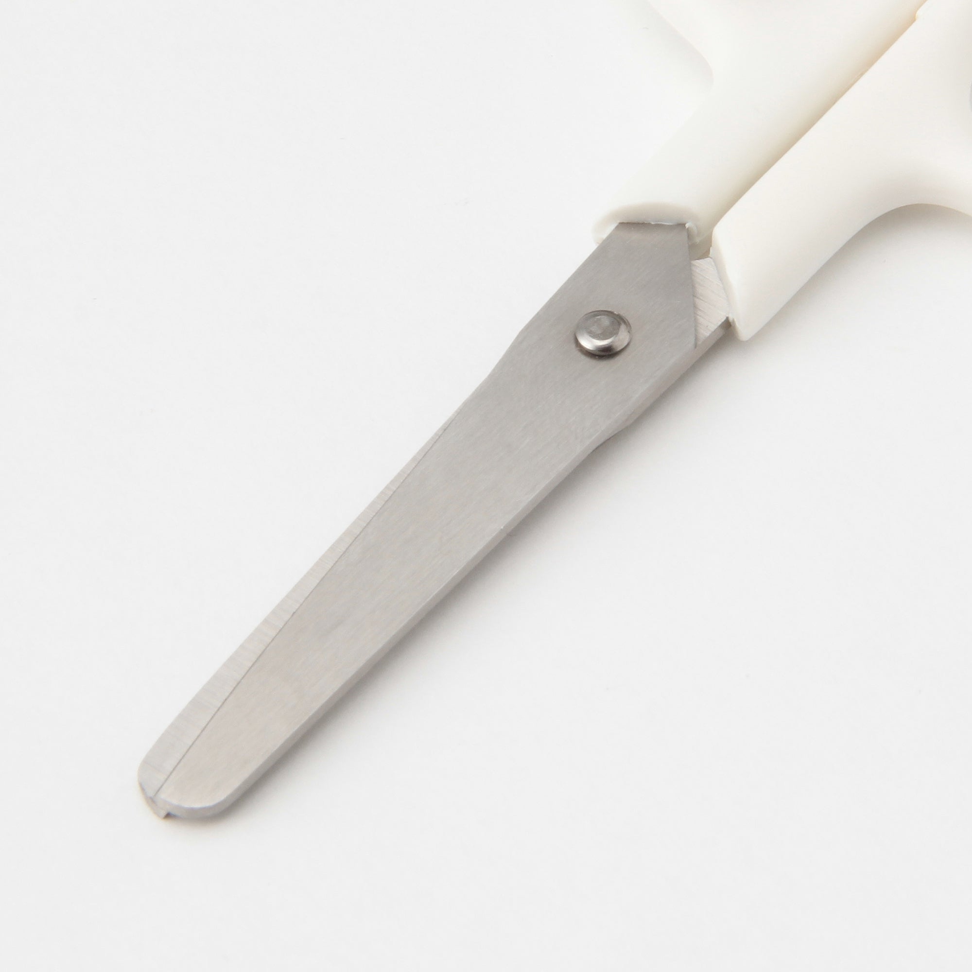 Stainless Steel Scissors