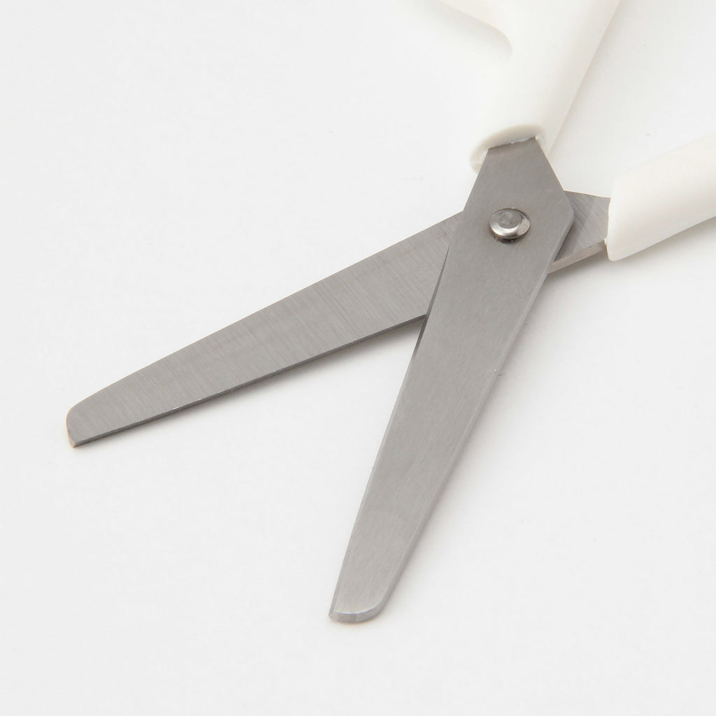 Stainless Steel Scissors