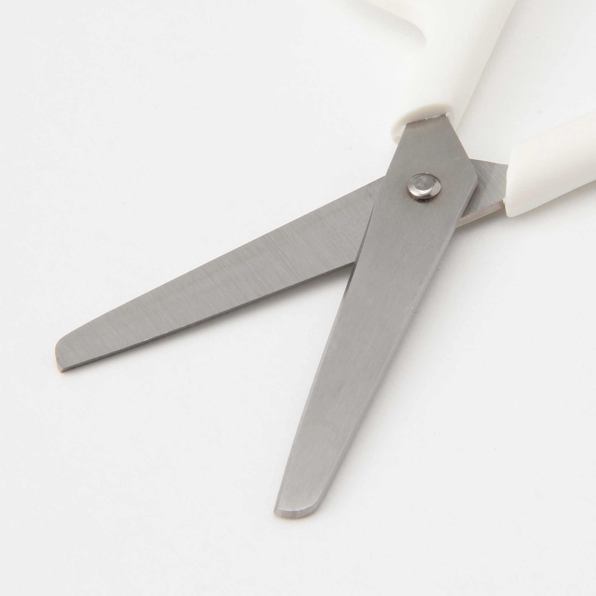 Stainless Steel Scissors