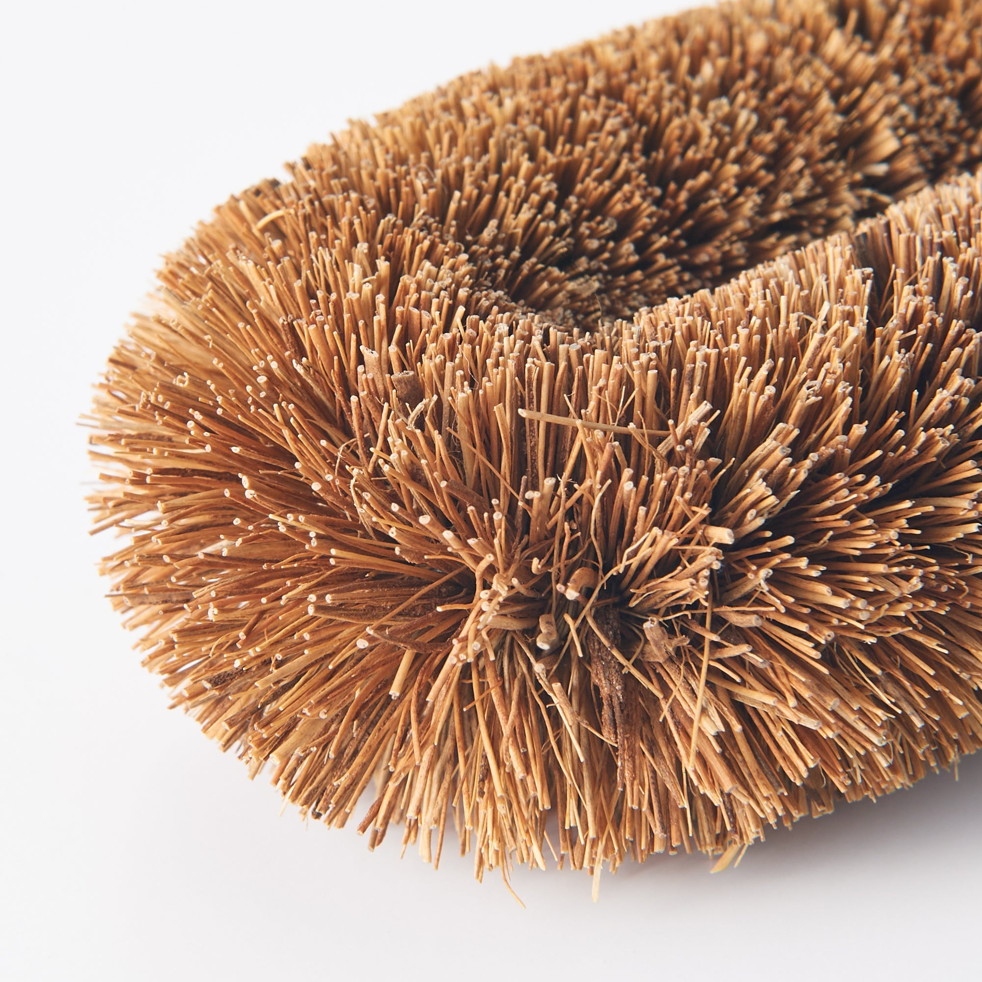 Scourer