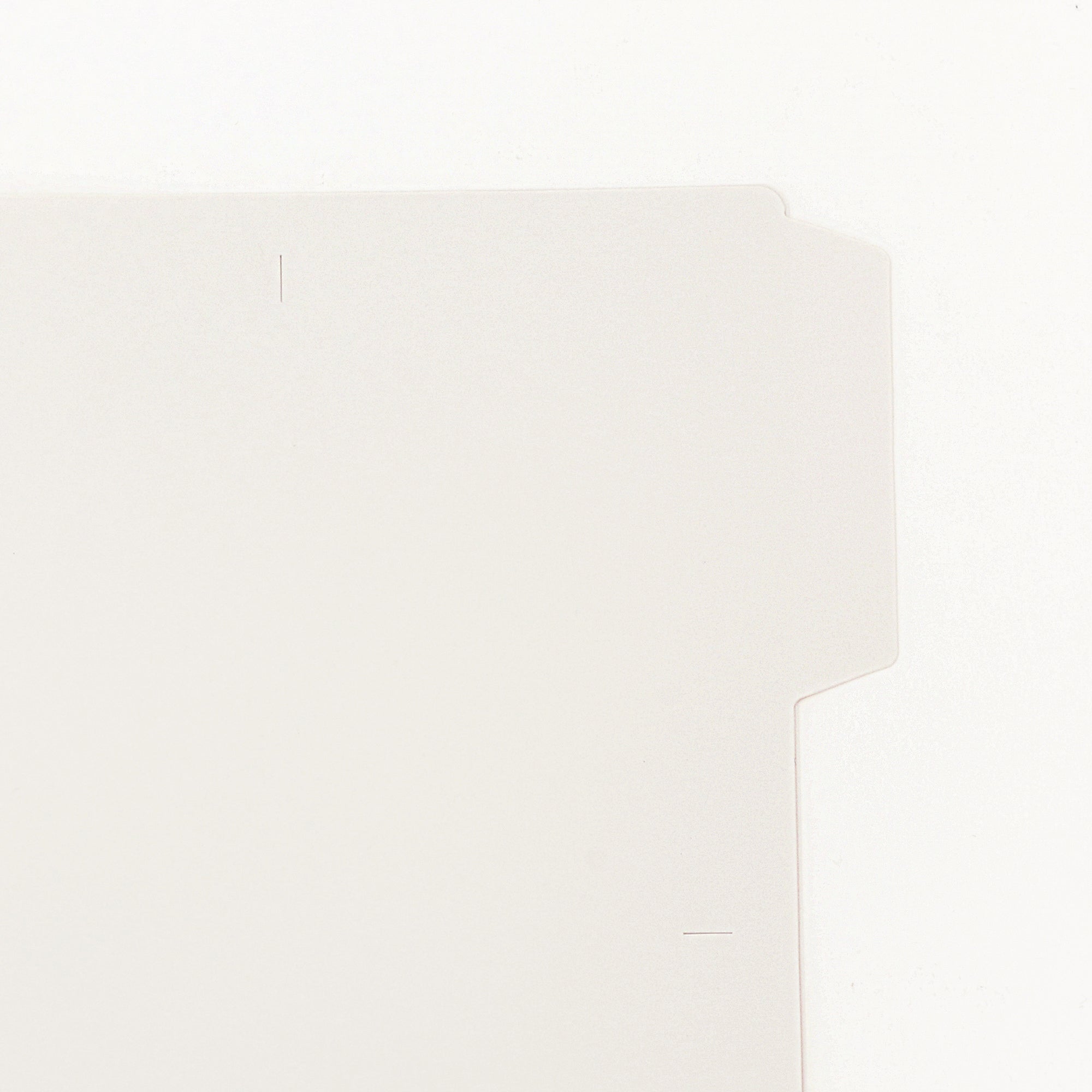 Expanded Polypropylene File Folder A4