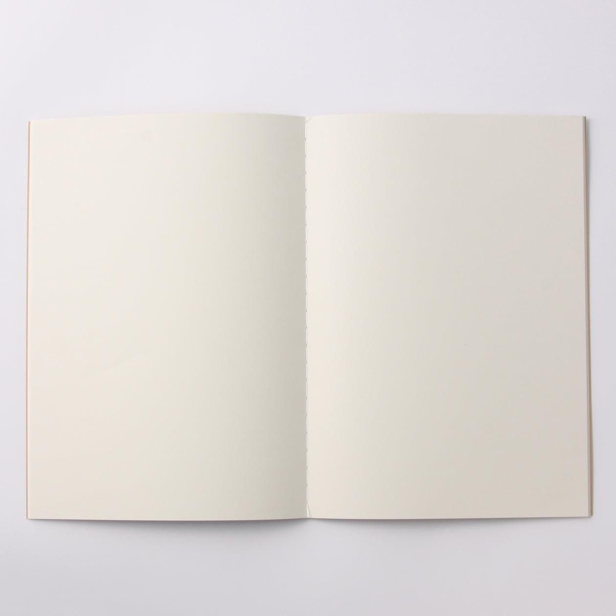 Recycled Paper Blank Notebook B5