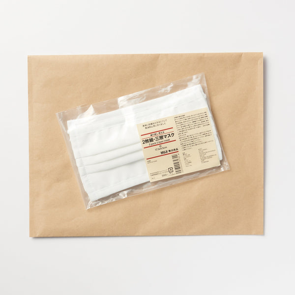 2 Pack 3-Layer Mask