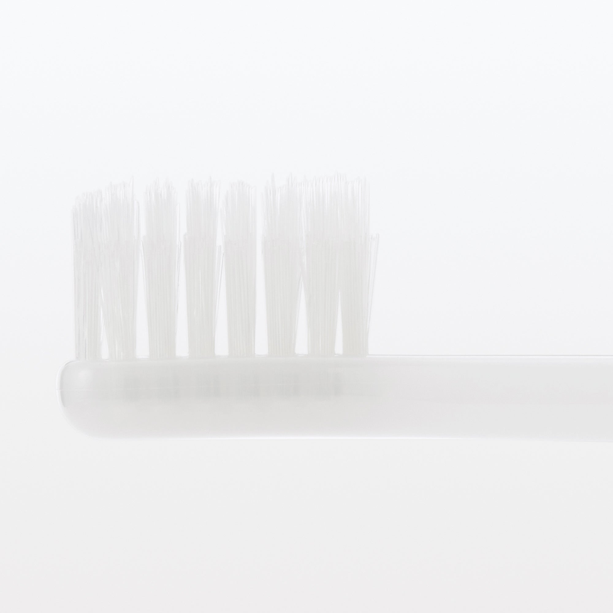 Replaceable Head Soft Toothbrush - Gray