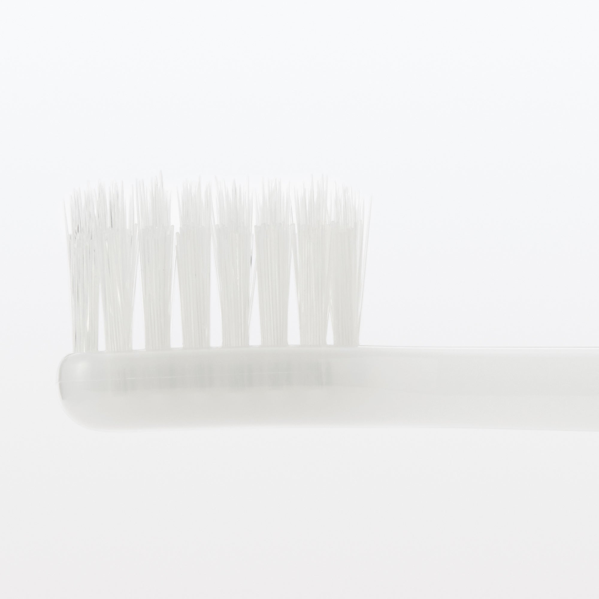 Replaceable Head Medium Toothbrush - White