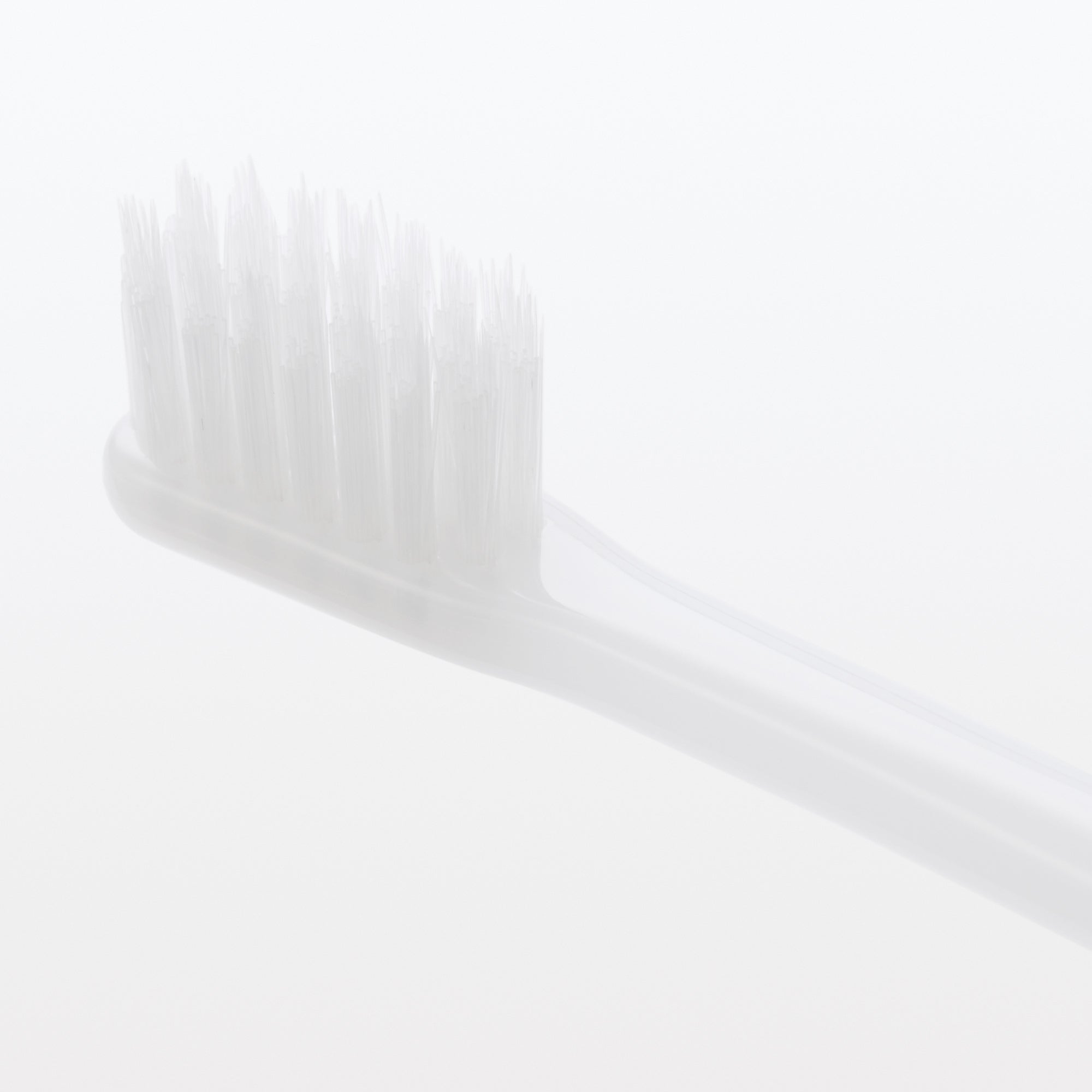 Replaceable Head Medium Toothbrush - White