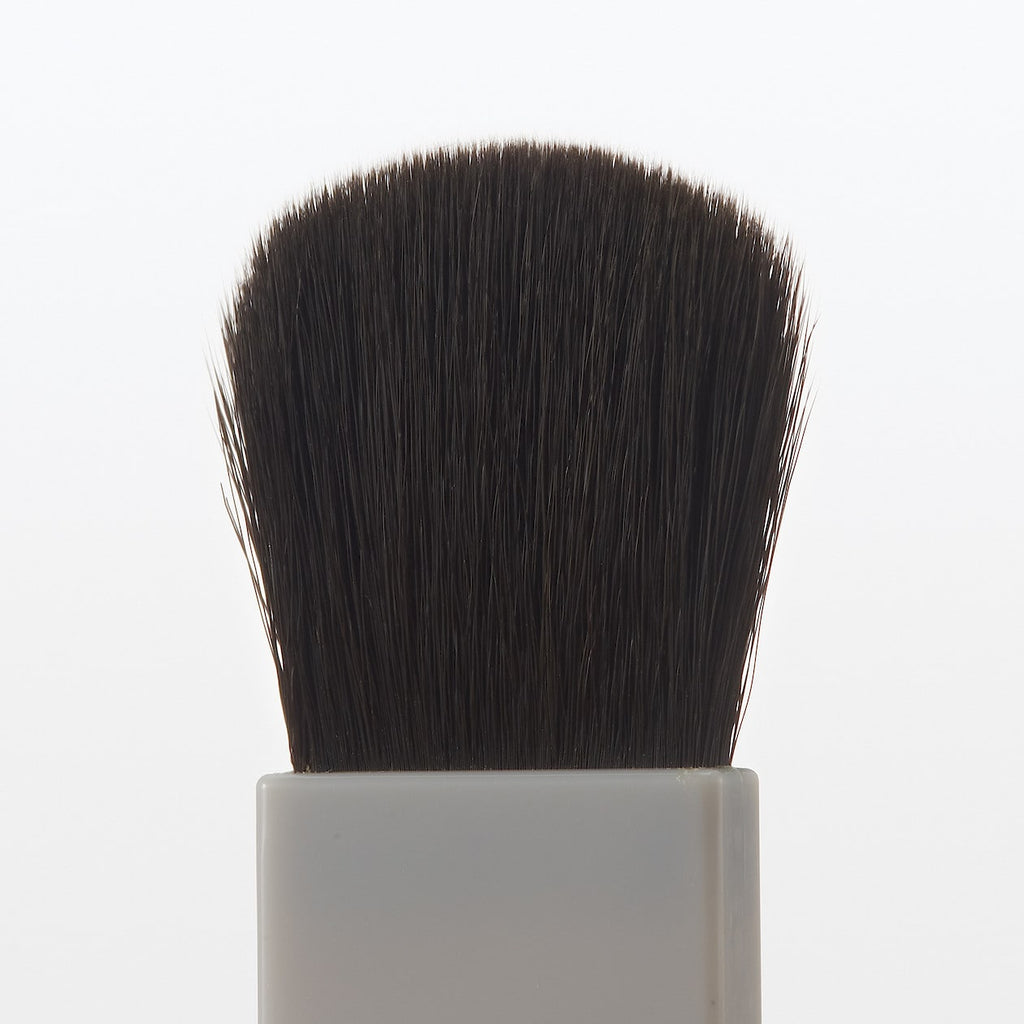 Cheek Brush for Case