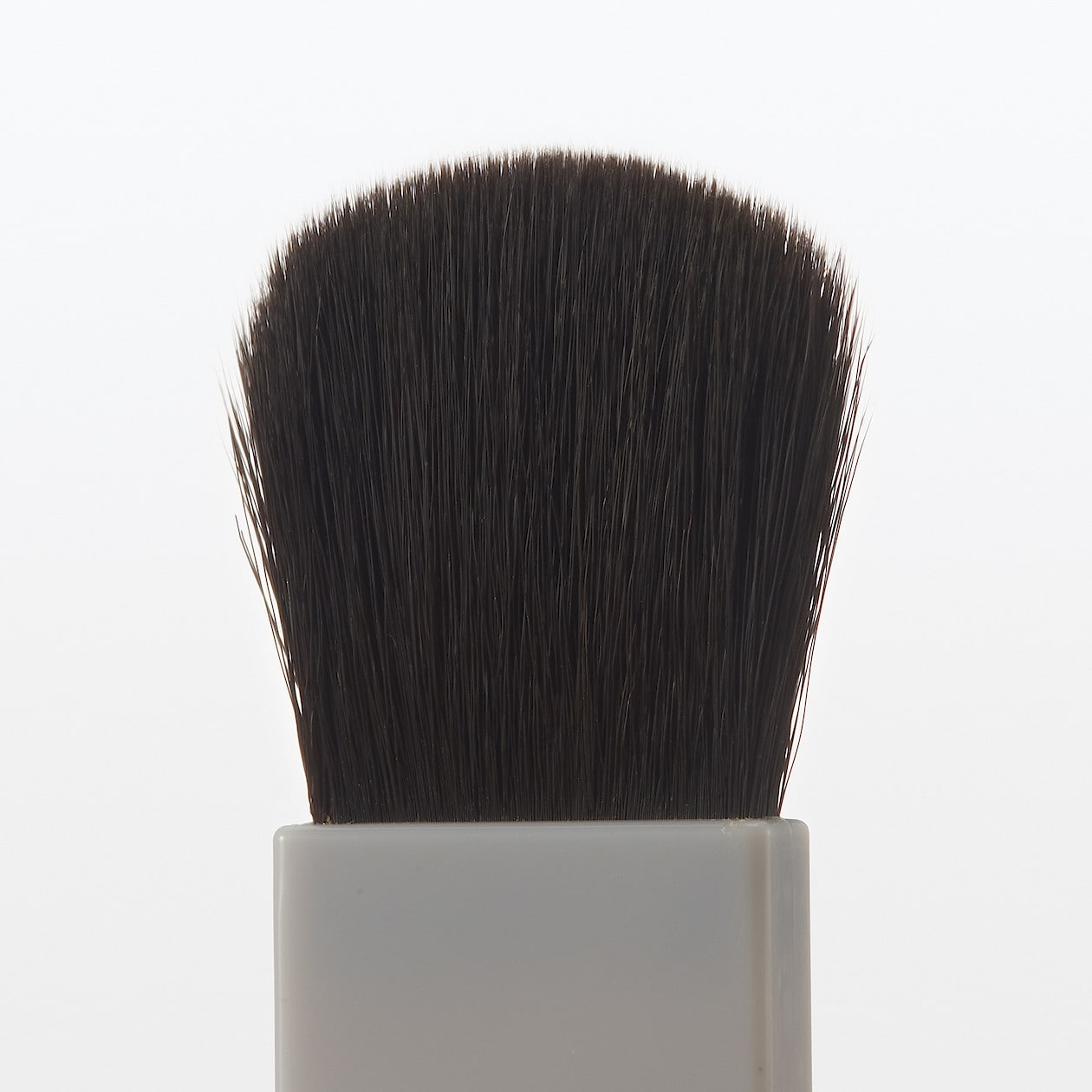 Cheek Brush for Case