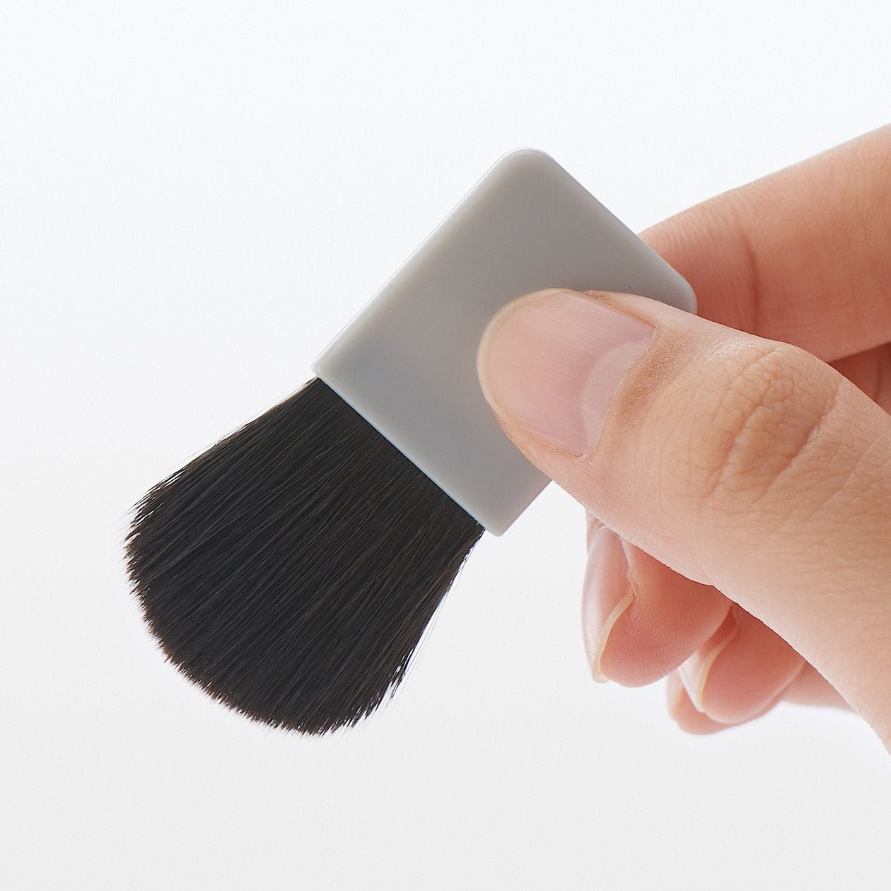 Cheek Brush for Case