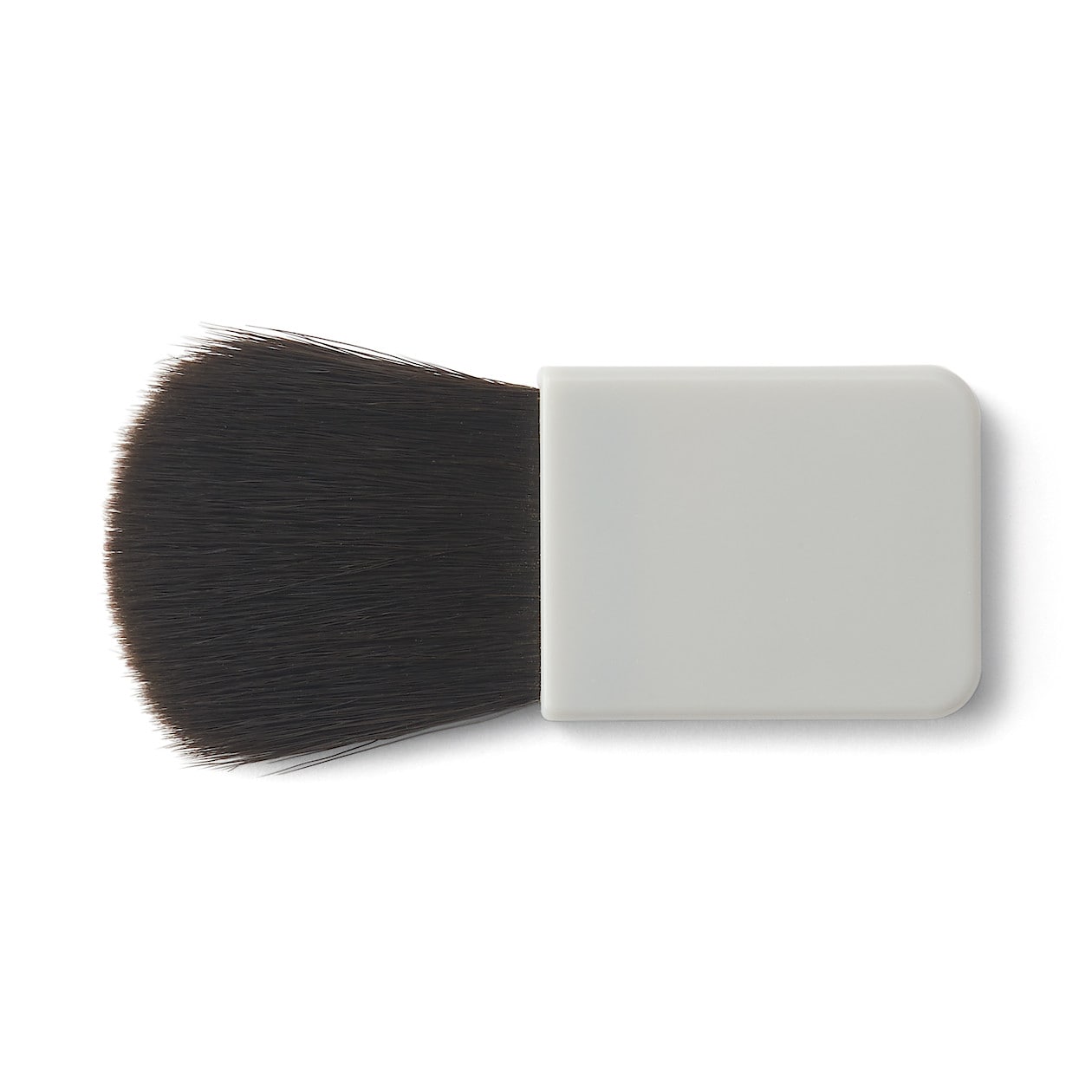 Cheek Brush for Case