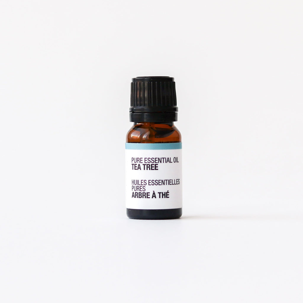 Pure Essential Oil - Tea Tree