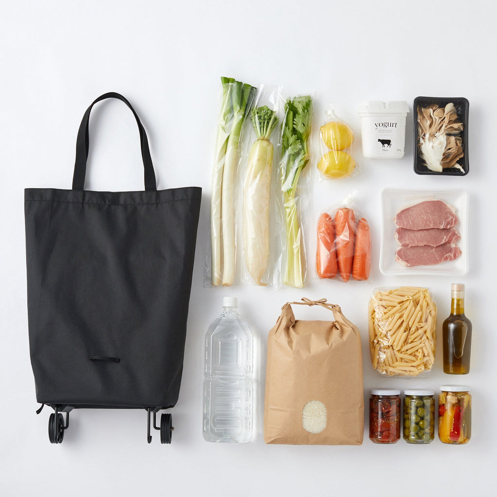 Collapsible Shopping Cart