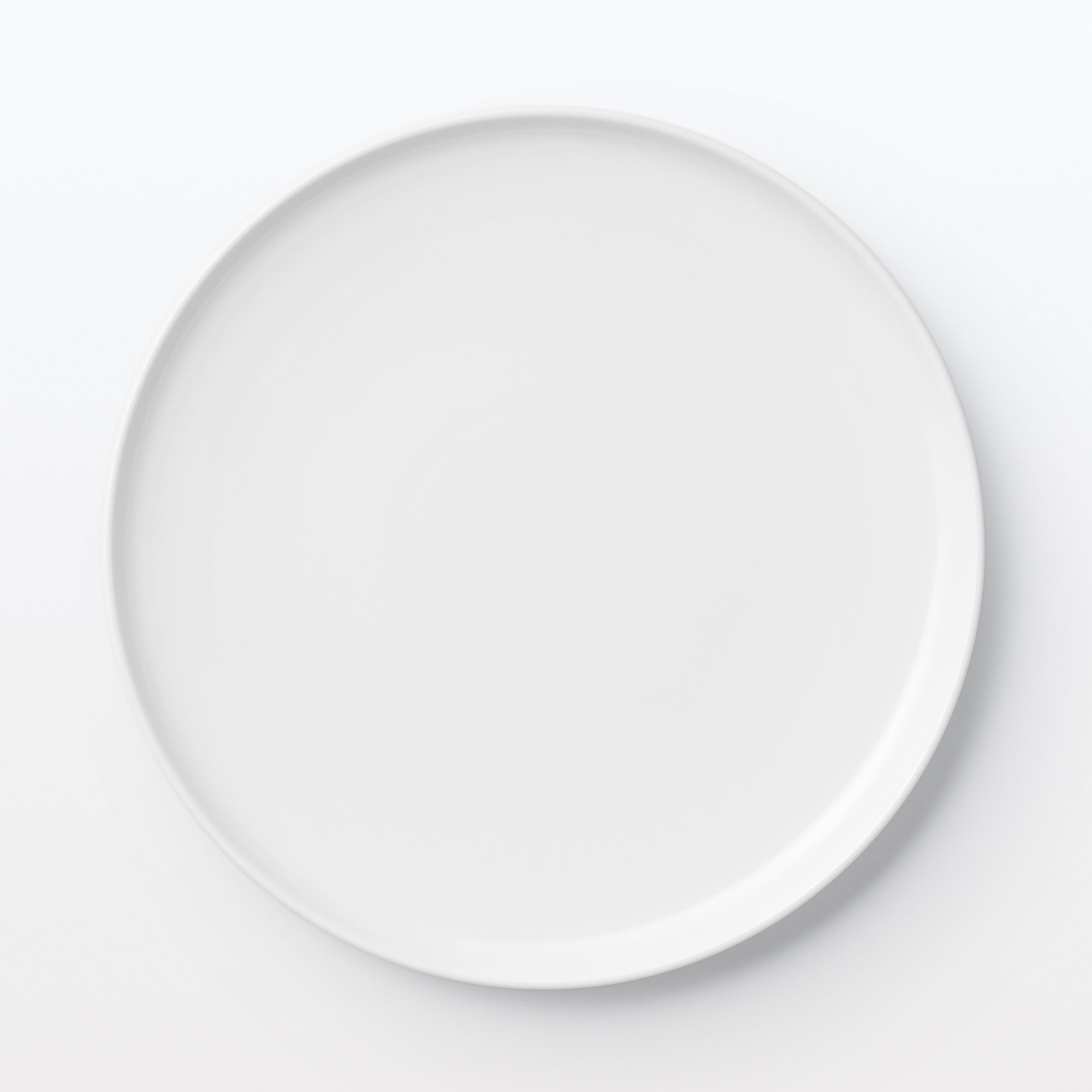 Everyday Tableware Dinner Plate