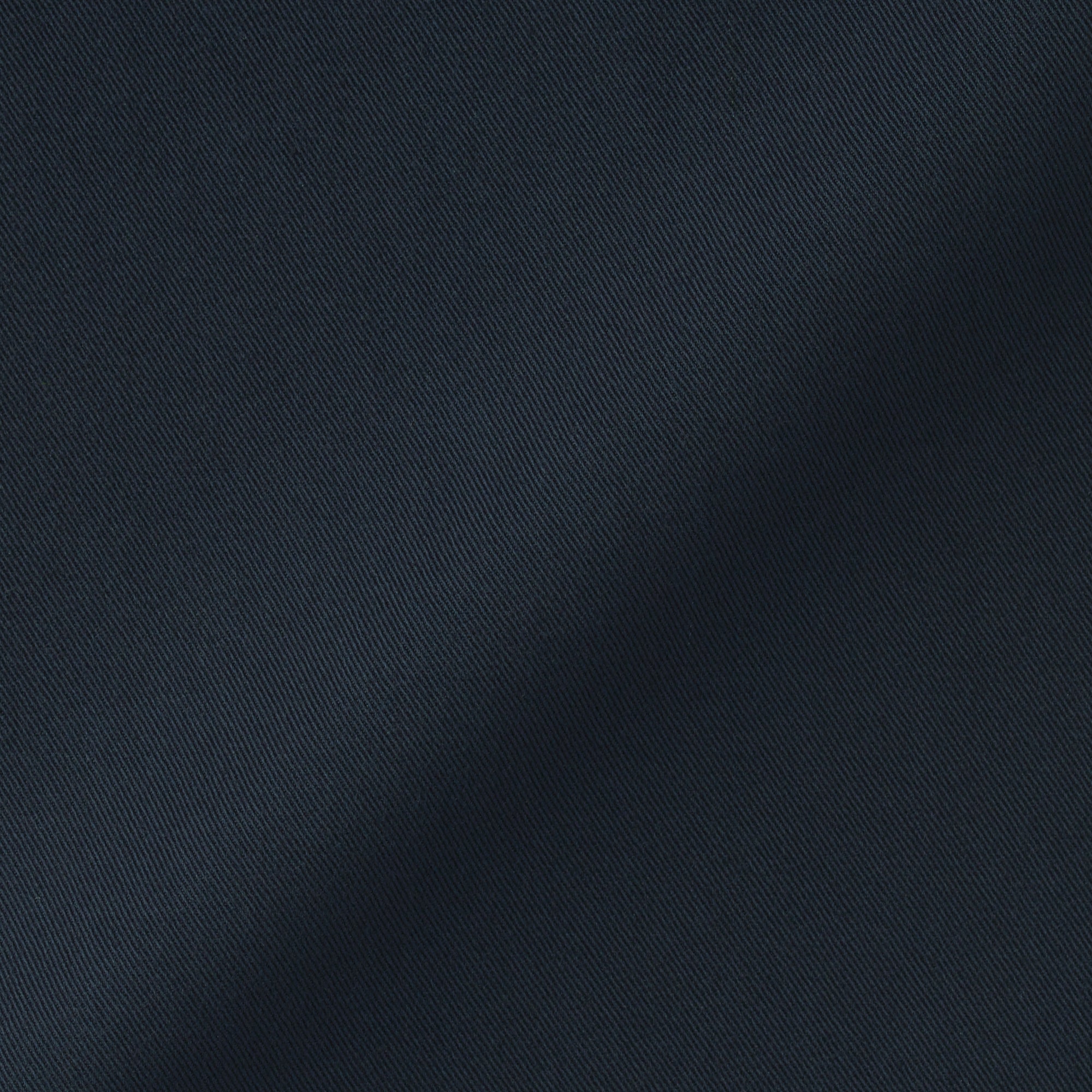 Pleated Wide Chino Pants