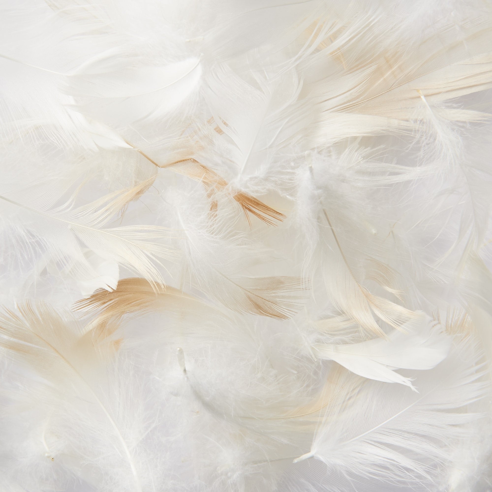 Feather Pillow - 19.7 x 27.6