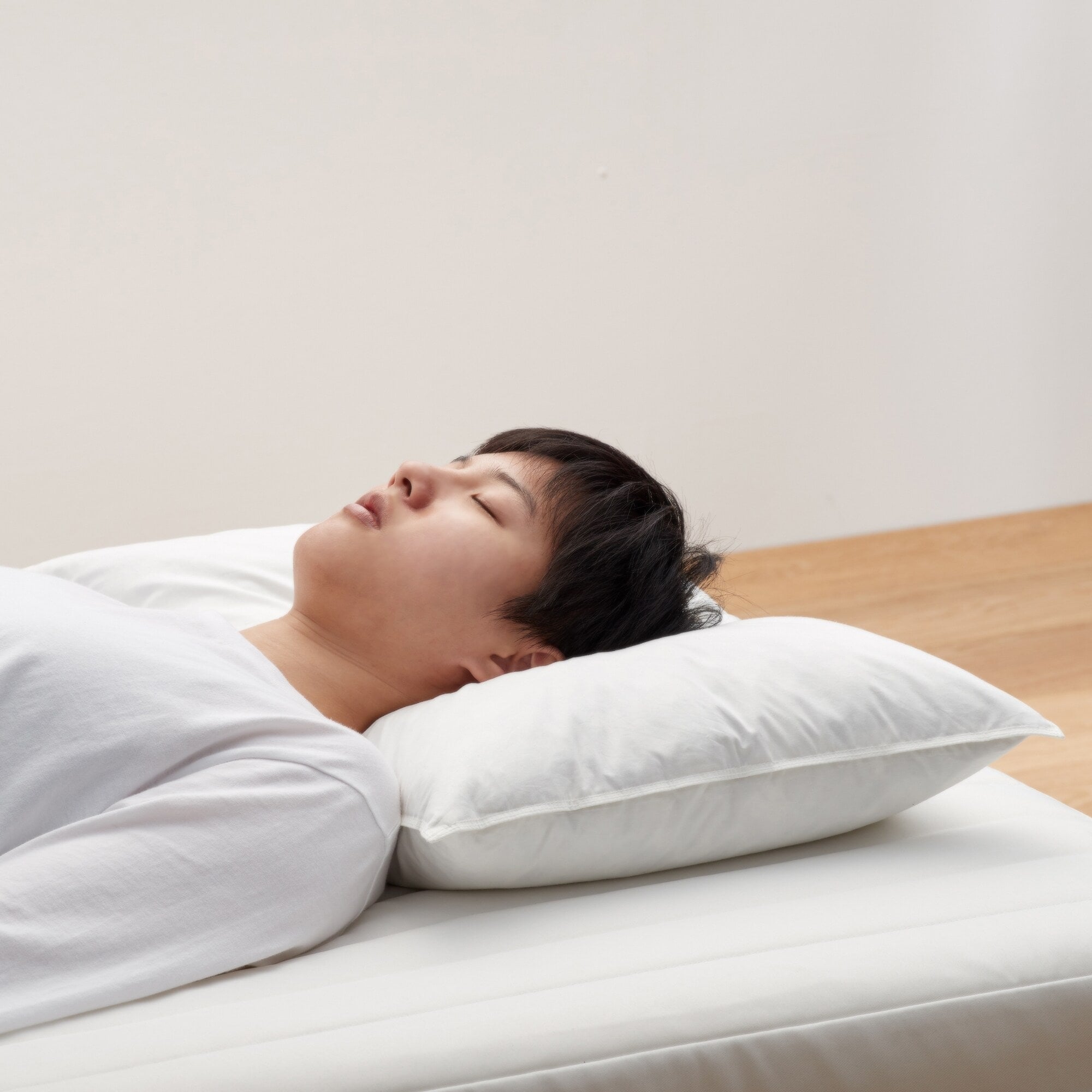 Feather Pillow - 19.7 x 27.6