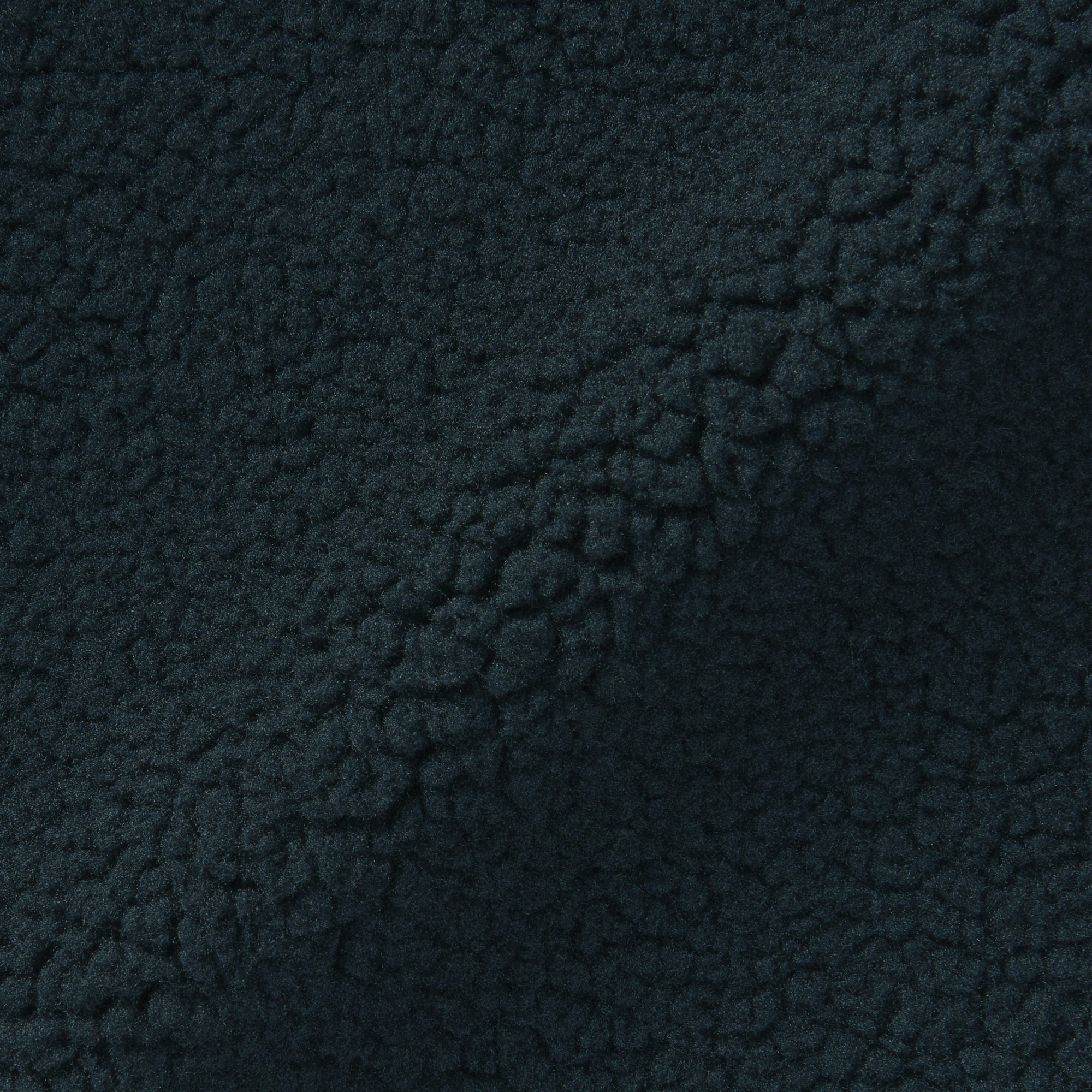 Boa Fleece Jacket