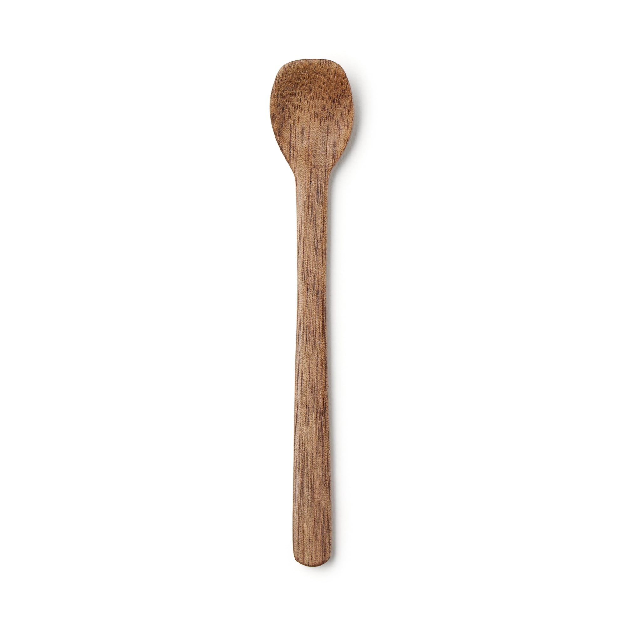 Acacia Spice Spoon with Oil Finish Main image