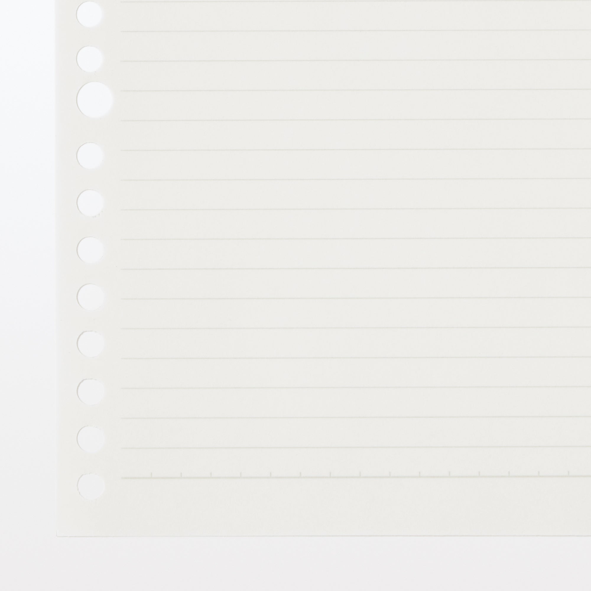 Planted Tree Paper Loose Leaf 6mm Lined B5 - 100 sheets