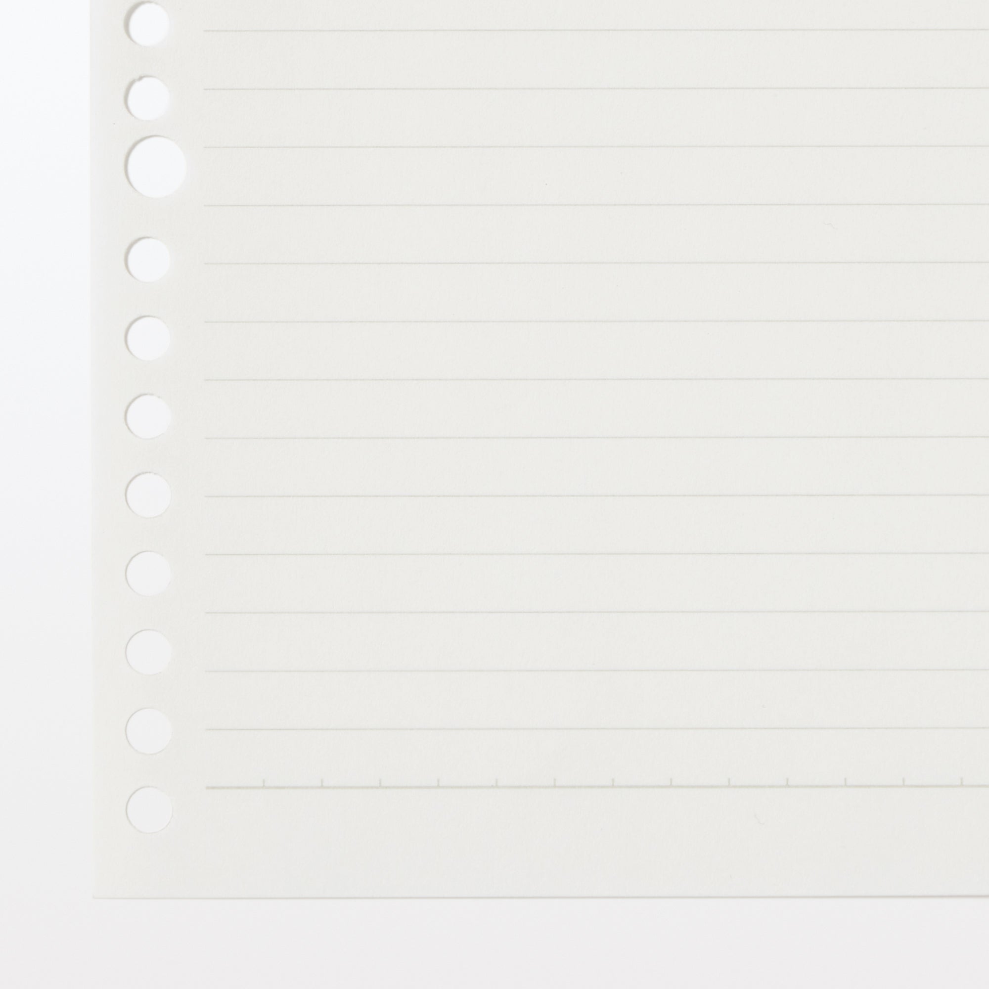 Planted Tree Paper Loose Leaf 7mm Lined B5 - 100 sheets