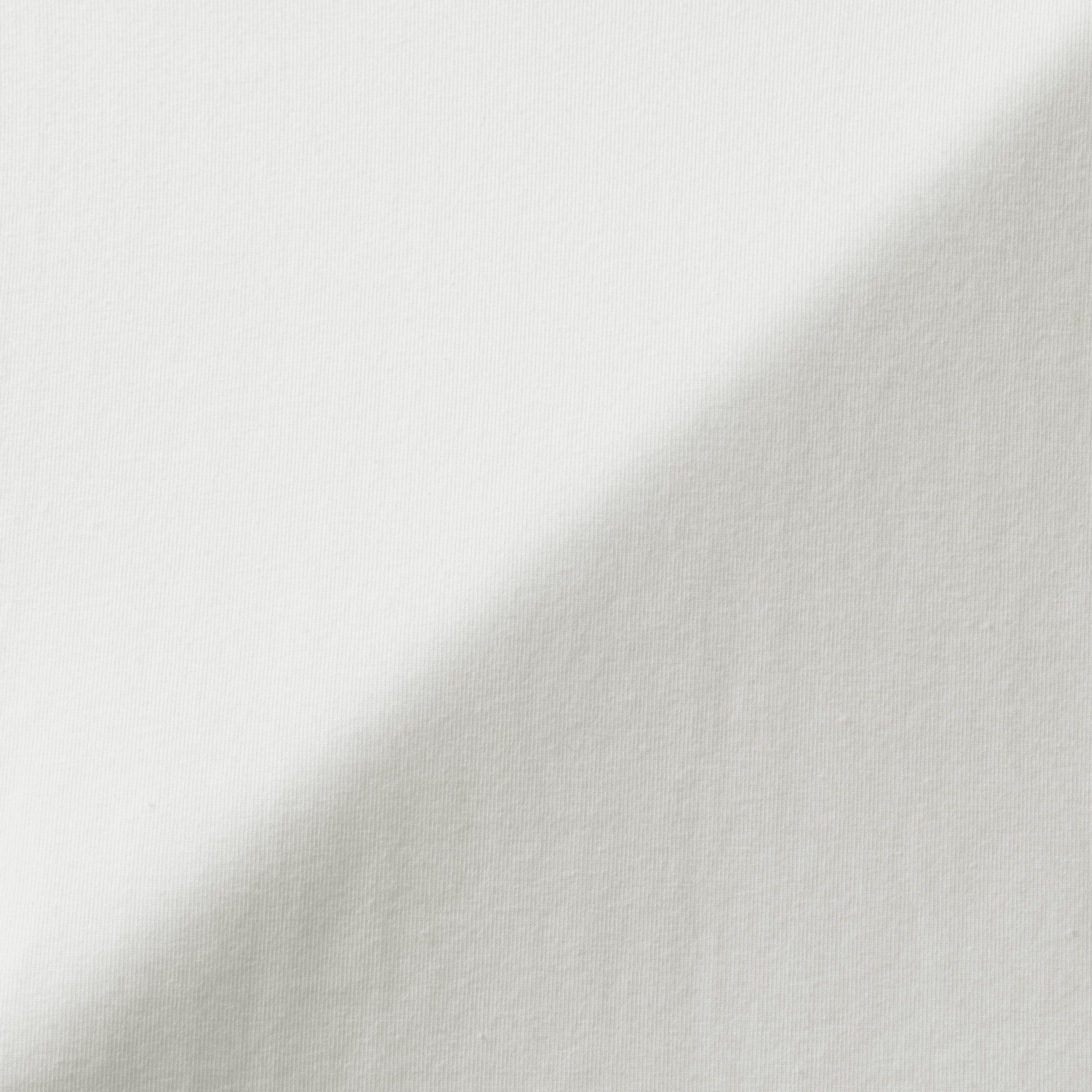 Brushed Turtleneck T-Shirt