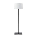 Steel Floor Lamp with Oval Shade