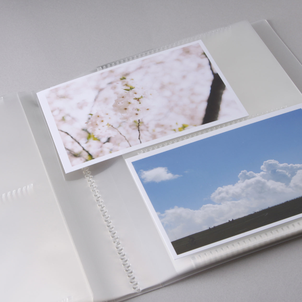 Polypropylene Album