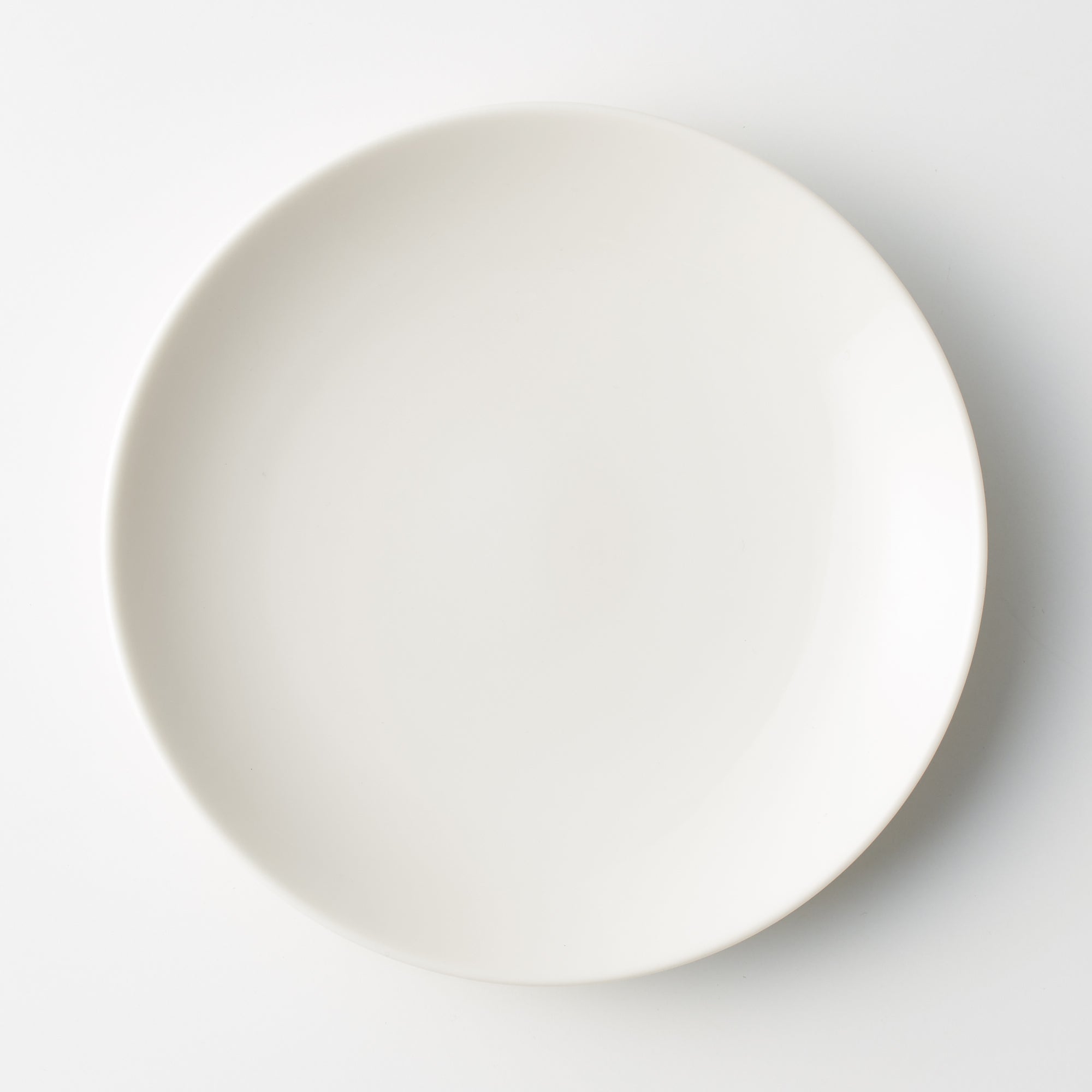 Beige Porcelain Plate
