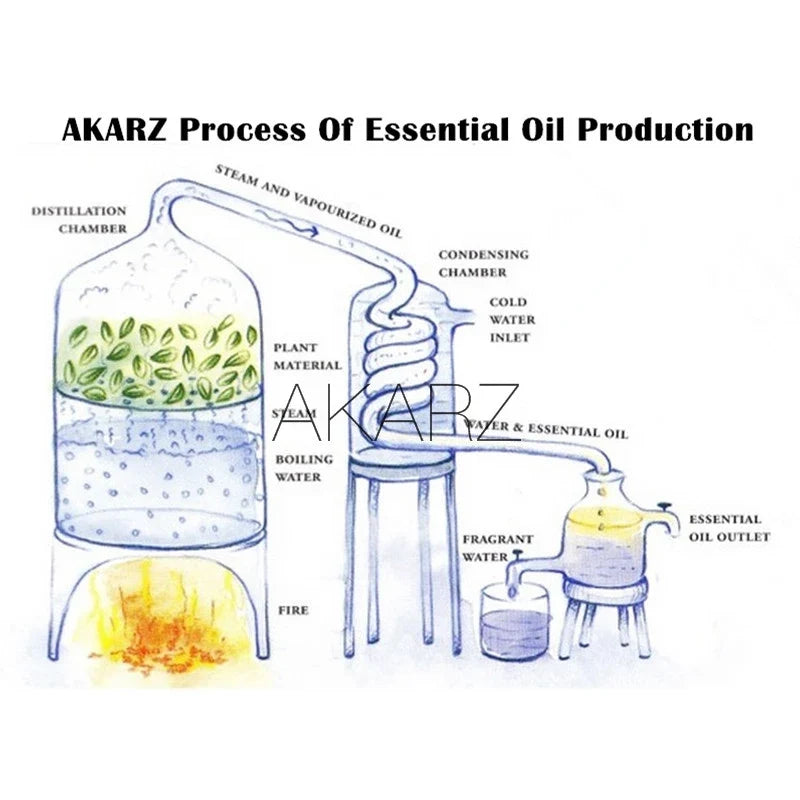 Essential Oils for Diffuser - 12 Kinds Of Fragrance