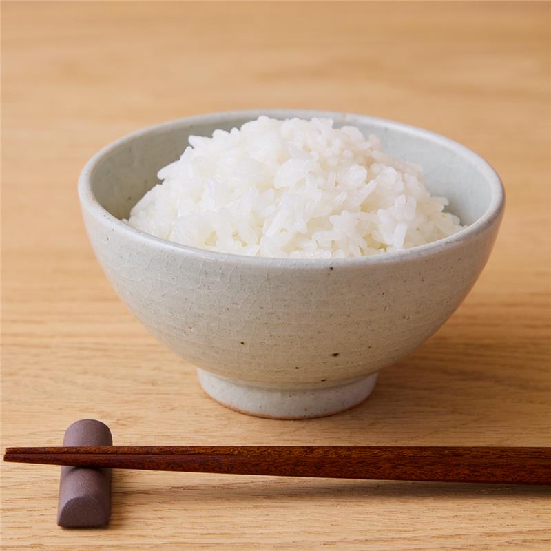 Banko Ware Rice Bowl - Transparent Glaze 4.8