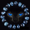 Willpower Blue Tiger Eye Bracelet