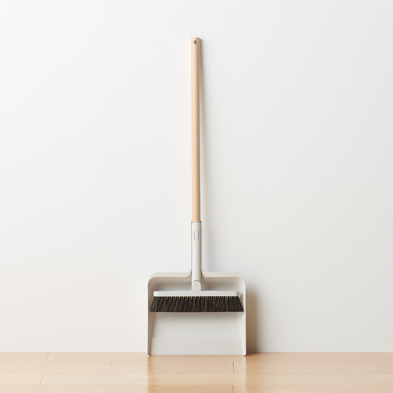 Cleaning System Broom